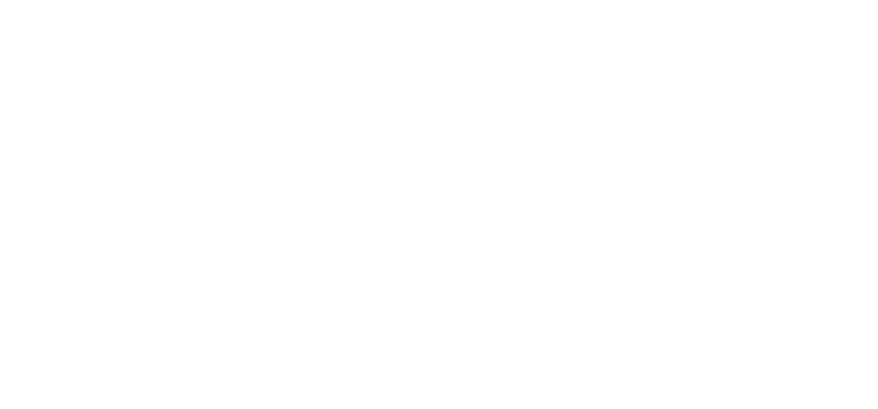 Icon Industries